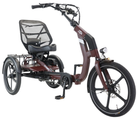 Caboocargo Dreirad E-Bike Chill, bordeaux-rot