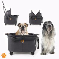 Haustiertransportbox Coco II mit Rollen für Hunde bis 8 kg mobil