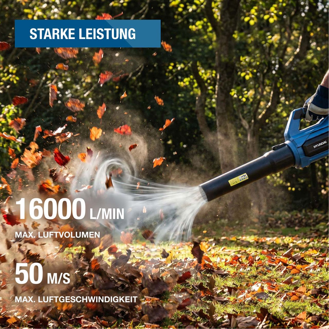 Miniaturansicht des Produkts