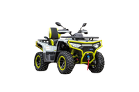 Linhai Quad/ATV Landforce  650L Pro 580ccm, 60 km/h - hellgrau - Bosch EFI