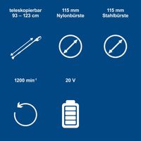 Akku-Unkrautfugenbürste C-FR100-X - Set S