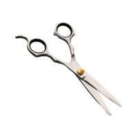 Profi-Friseurschere