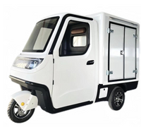E-Kastenwagen SLSM19-CB