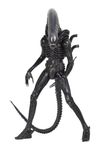 d-neca51598-01.jpg