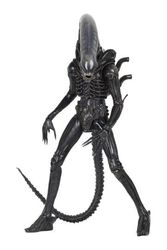 d-neca51598-01.jpg d-neca51598-01.jpg