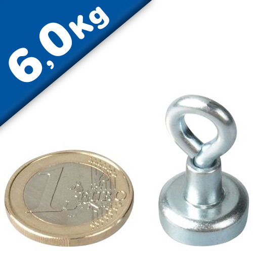 Magnetastico ® Starke Neodym Magnete N52 Scheibe 6x3 mm Anzahl wählbar Magnetastico ® Starke Neodym Magnete N52 Scheibe 6x3 mm Anzahl wählbar