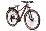 axess-meea-dx-29-vintage-wine-99557-02.jpg