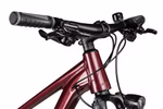 axess-meea-dx-29-vintage-wine-99557-07.jpg