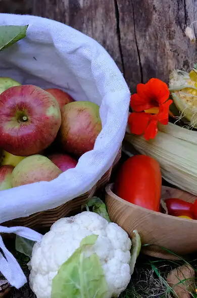 Creative Ideas for Autumn