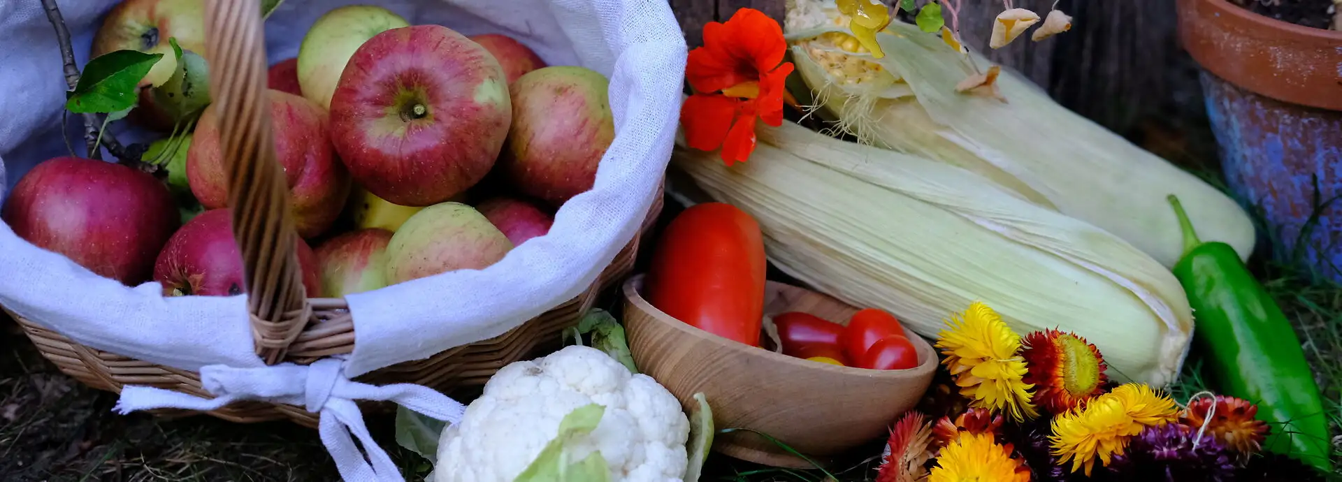 Creative Ideas for Autumn