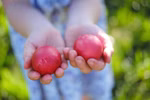 Ein Kind hält zwei rote Eier die mit Ostereierfarben von Auro auf rein natürlicher Basis gefärbt wurden vor einem verschwommenen grünen Hintergrund im Freien.