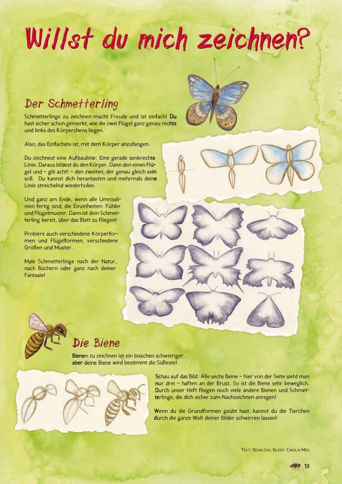 Waldow Verlag Jahresabo Vorhang Auf - Die Waldorf-Kinderzeitschrift 4 Ausgaben inkl. Porto_3223 International Das "Jahresabo Vorhang Auf - Die Waldorf-Kinderzeitschrift" aus dem Waldow Verlag bietet eine bebilderte deutsche Anleitung zum Zeichnen eines Schmetterlings und einer Biene mit Schritt-für-Schritt-Skizzen und Aquarellbildern auf grünem Hintergrund. Enthäl International