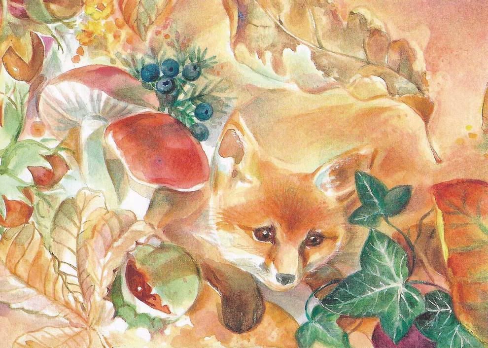 imagin Postkartenset Herbst 10-teilig Marie Laure Viriot_13712 Das "Postkartenset Herbst 10-teilig" von imagin zeigt aquarellierte Fuchs-Illustrationen von Marie Laure Viriot umgeben von Herbstblättern Pilzen Eicheln Beeren und Efeu in warmen Erdtönen.