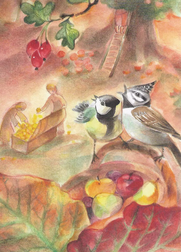 imagin Postkartenset Herbst 10-teilig Marie Laure Viriot_13714 Das imaginäre Postkartenset Herbst (10-teilig) von Marie Laure Viriot zeigt in warmen erdigen Tönen zwei Vögel auf einem Herbstblatt mit Äpfeln und Beeren sowie zwei Menschen die an einem schuppenförmigen Baum Obst ernten.