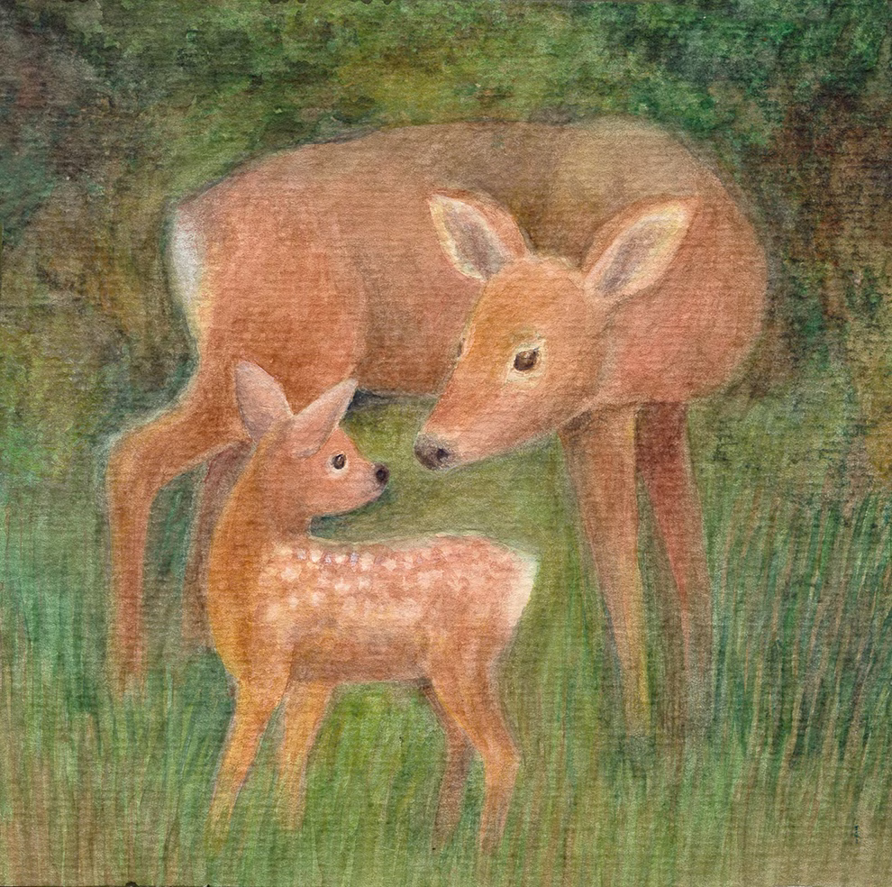 Urachhaus Im Wald Leporello_33658 Das Im Wald Leporello von Urachhaus zeigt ein Aquarell einer Hirschkuh und ihres weiß gefleckten Kitzes die dicht an dicht im hohen Gras stehen mit üppigem grünen Laub im Hintergrund.