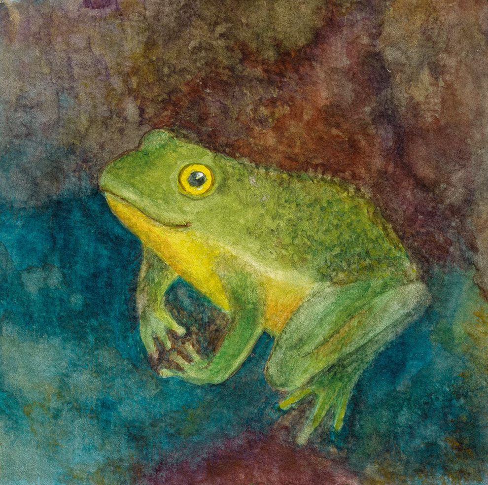 Urachhaus Im Wald Leporello_33659 Im Wald Leporello von Urachhaus zeigt ein Aquarell eines grünen Frosches mit gelben Markierungen in geduckter Haltung vor einem blau-braun strukturierten Hintergrund mit hervorstehenden Augen.