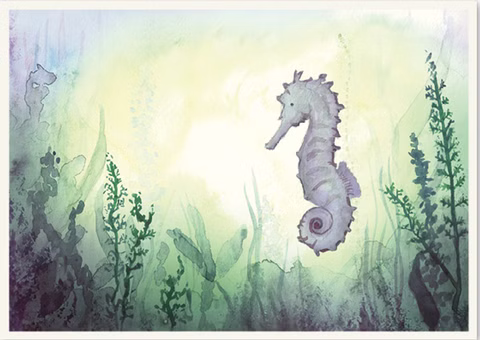 Carte postale Hippocampe