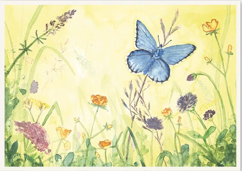 Carte à volet Papillon sur prairie