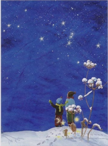 Carte postale Ciel d'hiver