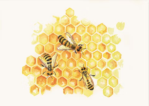 Postkarte Bienen