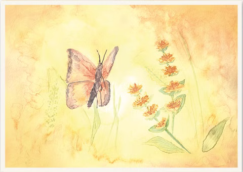 Postcard Butterfly