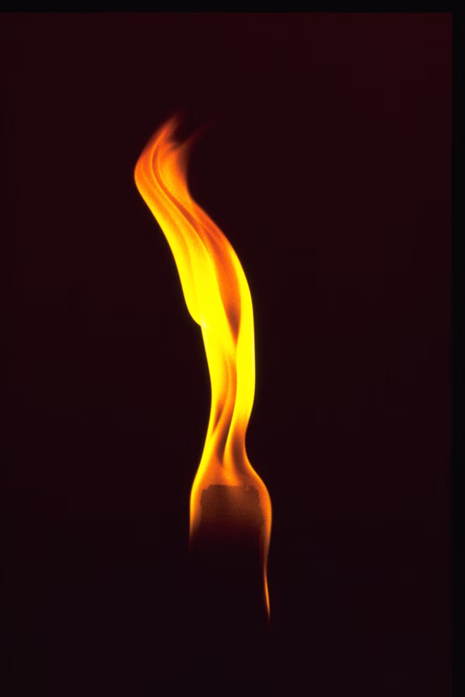 BasicNature Wachsfackel Brenndauer bis 100 min_13565 Eine Nahaufnahme der Wachsfackel Brenndauer bis 100 min von BasicNature zeigt die warme gelb-orange Flamme die hell vor einem dunklen Hintergrund leuchtet und die wirbelnde Feuerform hervorhebt.
