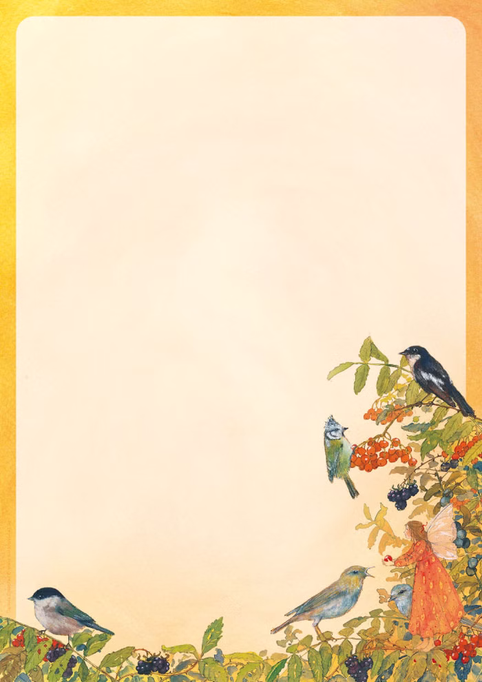 Cartoleria "L'uccello e la fata Cartoleria "L'uccello e la fata
