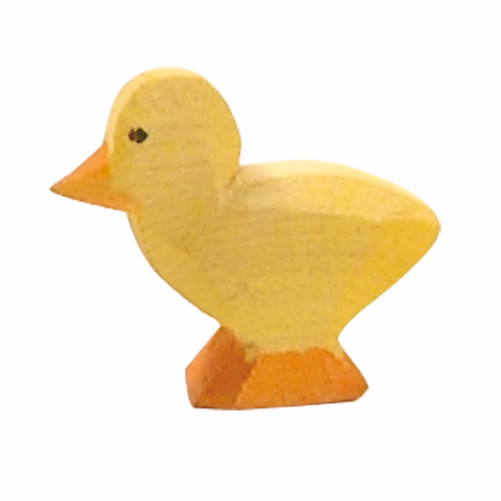 Ostheimer chick Ostheimer chick