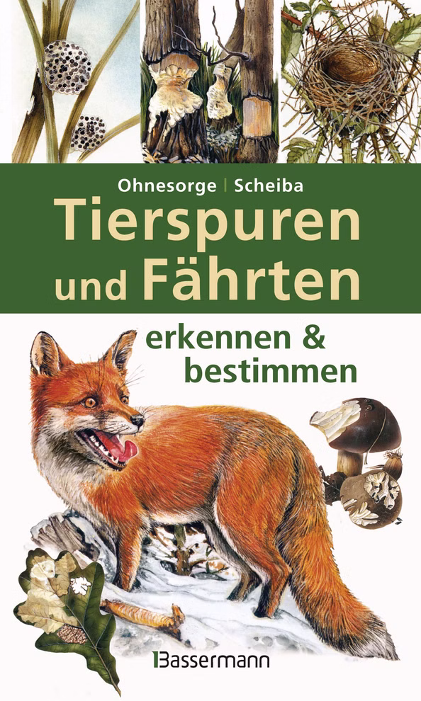 Bassermann Verlag Tierspuren und Fährten erkennen & bestimmen Gerd Ohnesorge_15082 Tierspuren und Fährten erkennen & bestimmen