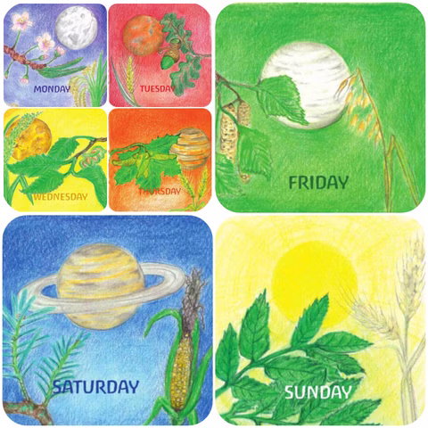 Days card set