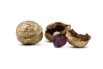Die Wundernuss gold- oder silbergefüllt von der Stein Manufaktur ist zur Hälfte geöffnet und gibt den Blick auf eine weiße perlenartige Perle und einen violetten Edelstein im Inneren frei während die andere Hälfte in der Nähe vor einem schwarzen Hintergrun silber