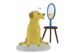 Freies Geistesleben Was wir von Tieren lernen können Franziska Viviane Zobel_18602 Ein neugieriger gelber Hund sitzt auf dem Boden und betrachtet sein Spiegelbild in einem kleinen ovalen Spiegel neben "Was wir von Tieren lernen können" von Franziska Viviane Zobel erschienen bei Freies Geistesleben.