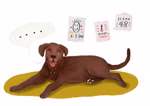Freies Geistesleben Was wir von Tieren lernen können Franziska Viviane Zobel_18603 Fröhlicher brauner Hund auf einer gelben Matte liegend dahinter drei deutsche Plakate ("1-3 Jahre" "8 Jahre" "schon 42") aus "Was wir von Tieren lernen können" von Franziska Viviane Zobel (Freies Geistesleben); darüber Sprechblase mit Punkten.