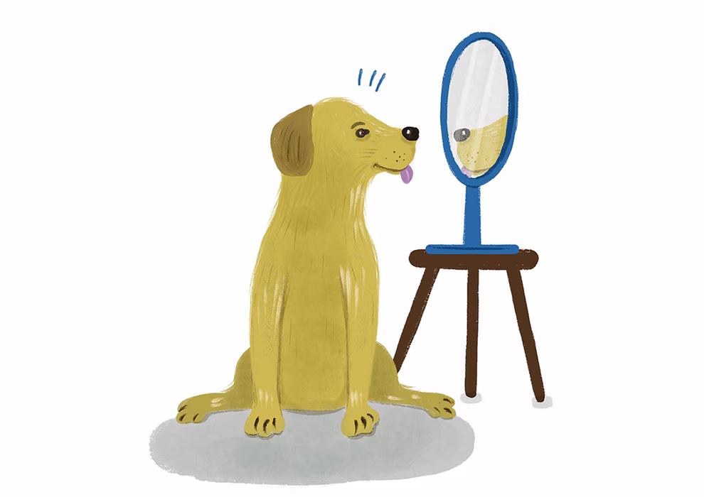 Freies Geistesleben Was wir von Tieren lernen können Franziska Viviane Zobel_18602 Ein neugieriger gelber Hund sitzt auf dem Boden und betrachtet sein Spiegelbild in einem kleinen ovalen Spiegel neben "Was wir von Tieren lernen können" von Franziska Viviane Zobel erschienen bei Freies Geistesleben.