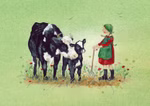 Postkartenbuch »Alle meine Tiere«
