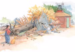 Urachhaus Willy Werkel baut ein Haus George Johansson_18646 Ein großer Baum ist auf eine blaue Holzkonstruktion gestürzt und hat sie zerdrückt. In der Nähe beobachten eine Frau und ihr Hund die Szene. Das Buch "Willy Werkel baut ein Haus" von George Johansson (Urachhaus) liegt inmitten der Trümmer. Im Hintergrund s
