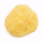 Grünspecht Naturprodukte Zimocca Naturschwamm 4 x 6 cm_18839 Der Grünspecht Naturprodukte Zimocca Naturschwamm (4 x 6 cm) ist ein runder gelber natürlicher Meeresschwamm mit weicher flauschiger Textur der auf einem schlichten weißen Hintergrund abgebildet ist.