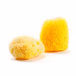 Grünspecht Naturprodukte Zimocca Naturschwamm 4 x 6 cm_18840 Zwei Zimocca Naturschwämme (4 x 6 cm) von Grünspecht Naturprodukte sind auf weißem Hintergrund abgebildet einer flach und einer aufrecht wobei beide ihre natürliche gelbe Farbe und poröse Textur hervorheben.