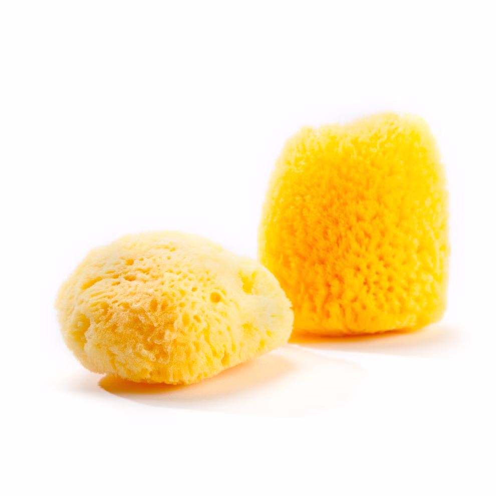 Grünspecht Naturprodukte Zimocca Naturschwamm 4 x 6 cm_18840 Zwei Zimocca Naturschwämme (4 x 6 cm) von Grünspecht Naturprodukte sind auf weißem Hintergrund abgebildet einer flach und einer aufrecht wobei beide ihre natürliche gelbe Farbe und poröse Textur hervorheben.