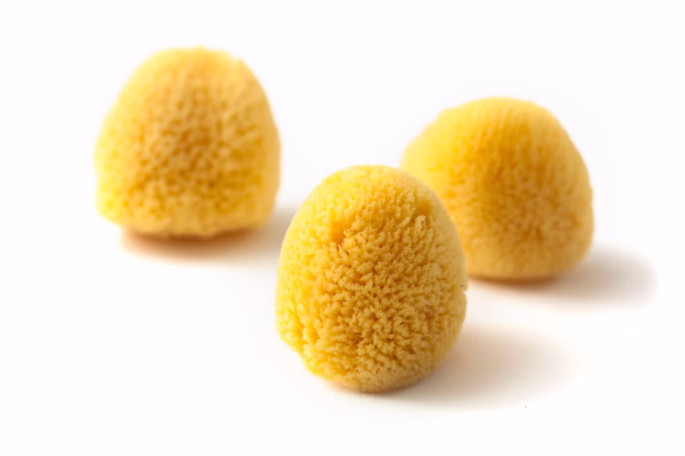 Grünspecht Naturprodukte Zimocca Naturschwamm 4 x 6 cm_18842 Drei Zimocca Naturschwämme (4 x 6 cm) von Grünspecht Naturprodukte mit gelber kuppelförmiger strukturierter Oberfläche sind auf weißem Grund platziert.