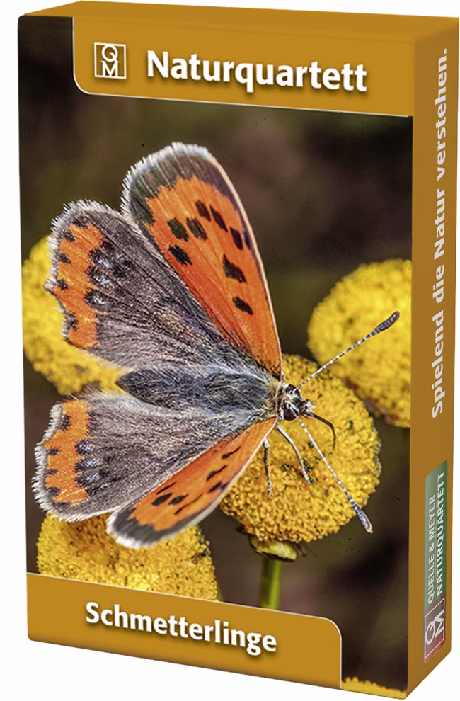Quelle & Meyer Verlag Naturquartett Schmetterlinge _19661 Das Kartenspiel Naturquartett Schmetterlinge aus dem Quelle & Meyer Verlag kommt in einer Schachtel die einen orange-schwarzen Schmetterling auf gelben Blüten zeigt mit goldenen Rändern und weißem Text.