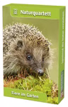 Quelle & Meyer Verlag Naturquartett Tiere im Garten _19663 Eine Schachtel Naturquartett Tiere im Garten des Quelle & Meyer Verlags mit einem Igel in Nahaufnahme im Gras. Der Text lautet "Tiere im Garten" und "Spielend die Natur verstehen".