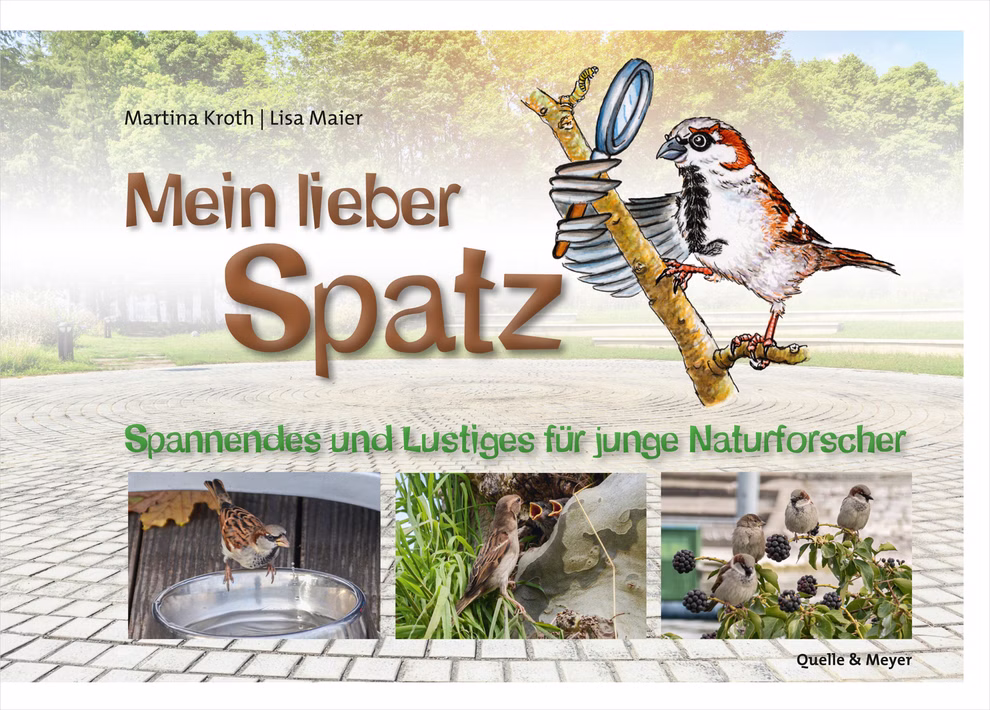 Quelle & Meyer Verlag Mein lieber Spatz Martina Kroth Lisa Maier _19664 Das Buchcover von "Mein lieber Spatz" von Martina Kroth und Lisa Maier (Quelle & Meyer Verlag) zeigt einen illustrierten Spatz mit Lupe sowie Fotos von Spatzen beim Fressen Nisten und Schwärmen in einer natürlichen Parklandschaft.