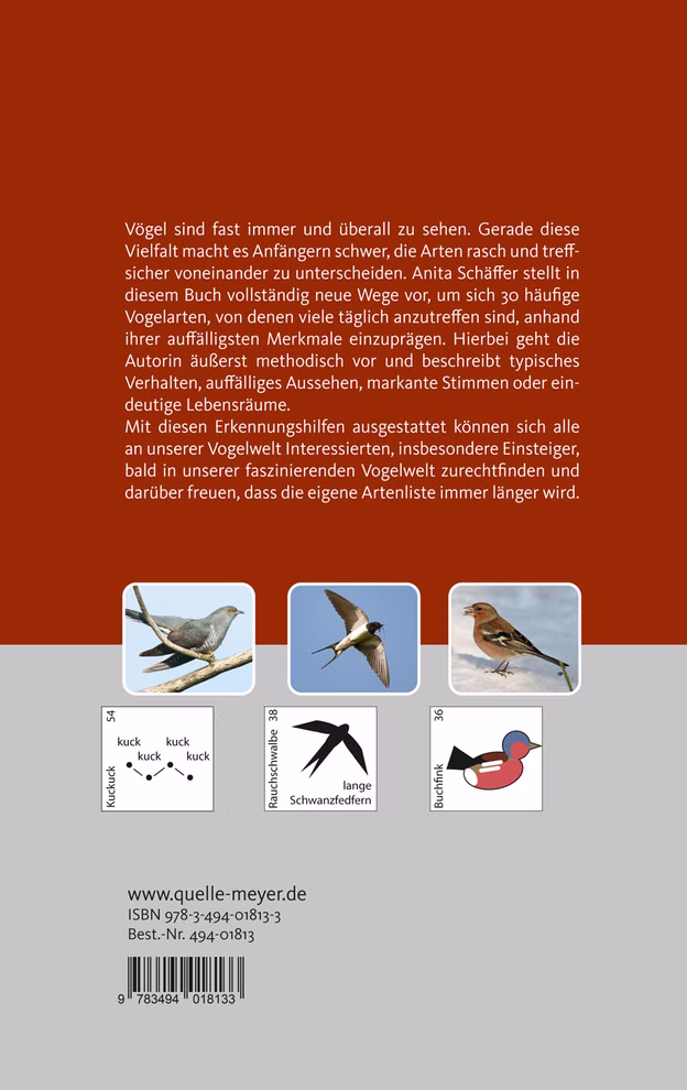 Quelle & Meyer Verlag Vogelbestimmung für Einsteiger 30 Arten einfach erkennen_19669 Umschlagrückseite von "Vogelbestimmung für Einsteiger 30 Arten einfach erkennen" aus dem Quelle & Meyer Verlag mit vier beschrifteten Vogeldarstellungen - Schwalbe Stieglitz Specht und Elster - auf einer grauen Bodenplatte.