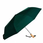 Ombrello  verde scuro