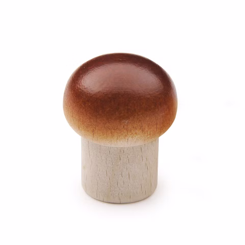 Champignon winkel