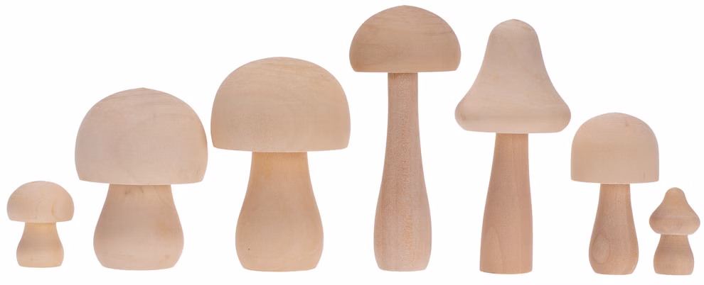Champignons en bois Champignons en bois