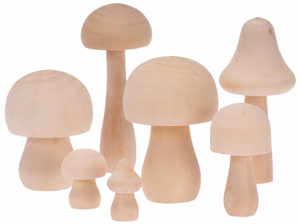 Champignons en bois Champignons en bois