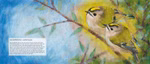 Oberste Brink Von den Waldtieren Loes Botman_23360 Zwei kleine Goldhähnchen mit gelben Kronen sitzen auf belaubten Ästen unter einem blauen Himmel in "Von den Waldtieren" von Loes Botman Oberste Brink. Die Vögel sind detailliert und sanft koloriert mit grünen Blättern und gelben Flecken. Deutscher Textkast