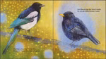 Oberste Brink Mein kleines Buch der Vögel Loes Botman_23364 Zwei illustrierte Vögel - eine Elster mit langem Schwanz auf der linken Seite und eine Amsel mit orangefarbenem Schnabel auf der rechten Seite - sind auf "Mein kleines Buch der Vögel" von Loes Botman (Oberste Brink) zu sehen vor einem gelben und blauen Hin